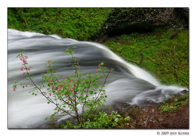 Silver Falls State Park Image Gallery