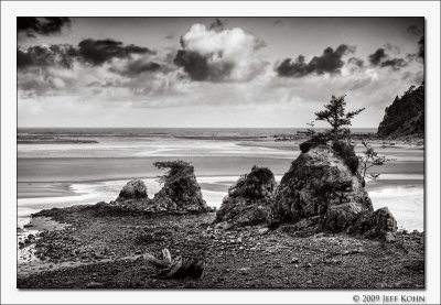 Oregon Coast B&W Image Gallery